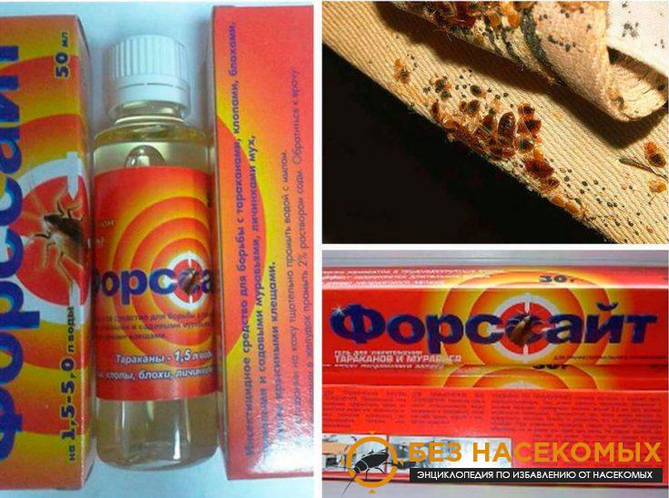 1-4-735×547-1 Форсайт от клопов