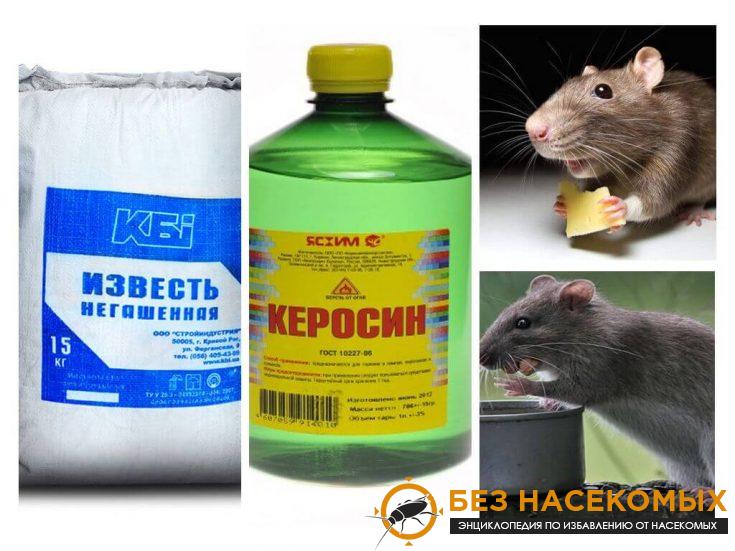 10-14-735x551-1 Отпугивание крыс
