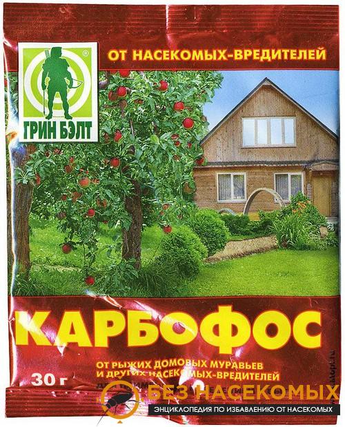 13-1 Платяная вошь