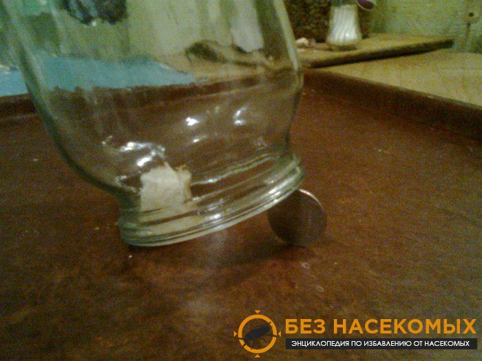 Ловушка из стеклянной банки