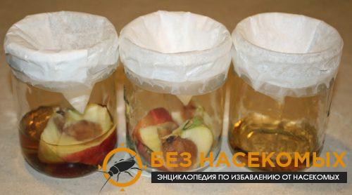 Обычная банка в качестве ловушки