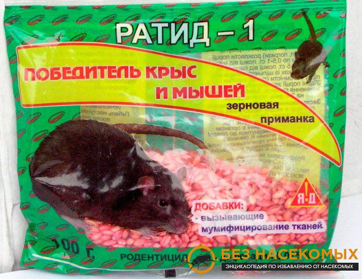 Ратид-1