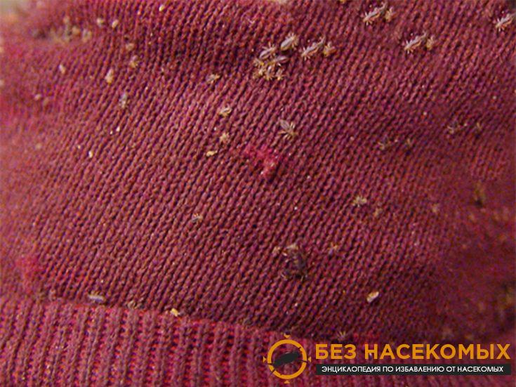 7-4-735x551-2 Как избежать заражения?