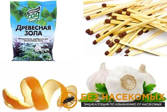 Народные средства от мошек в цветочных горшках