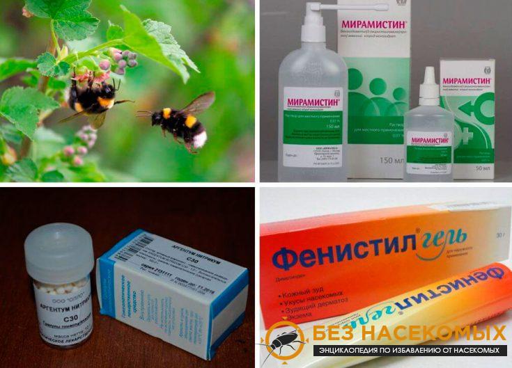 Лечение и обезболивание при укусах