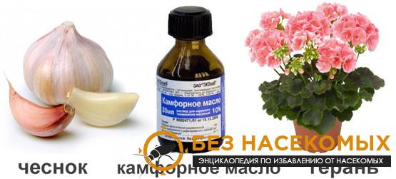 Народные средства борьбы с мошками на кухне